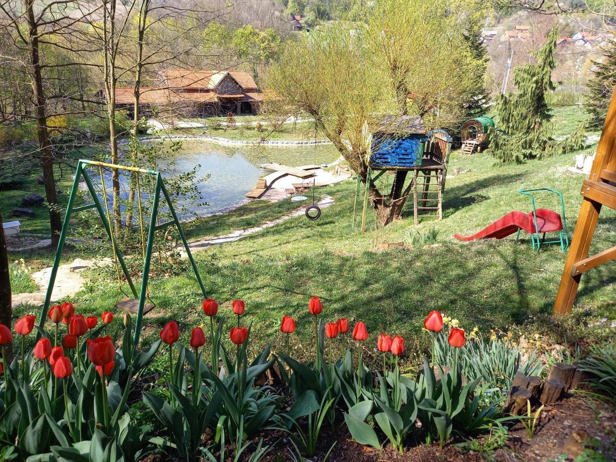 Country House With A Pool In Medvednica Nature Park ザグレブ エクステリア 写真