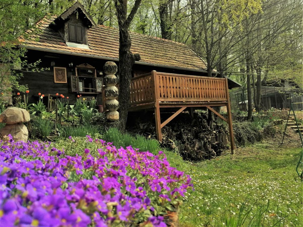 Country House With A Pool In Medvednica Nature Park ザグレブ エクステリア 写真