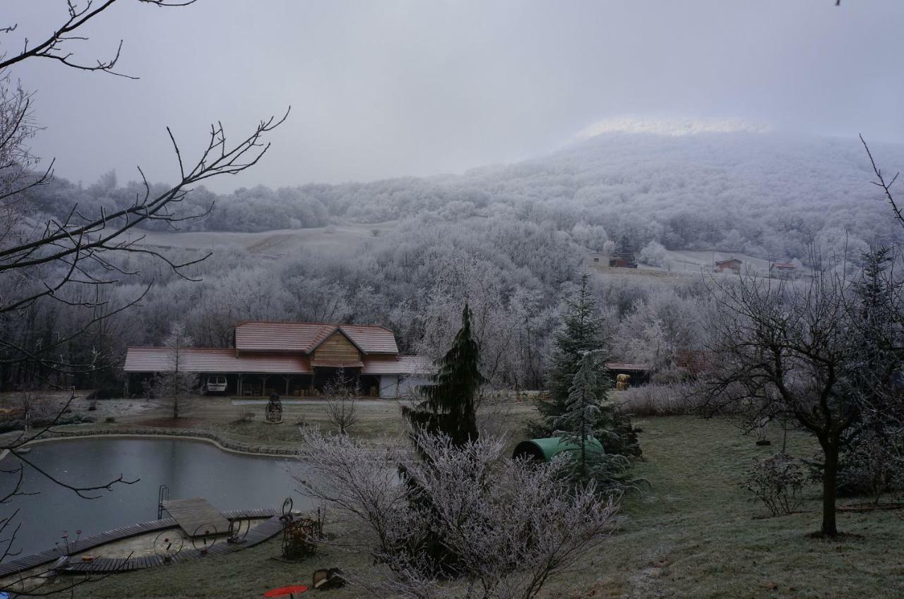 Country House With A Pool In Medvednica Nature Park ザグレブ エクステリア 写真